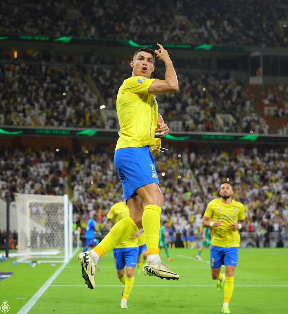 萨克拉门托国王训练开放日，窗口期迎来里程碑引欢呼，国王杯在即，团队化学反应显著的简单介绍